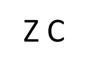 上海哲創(chuàng)電子科技有限公司